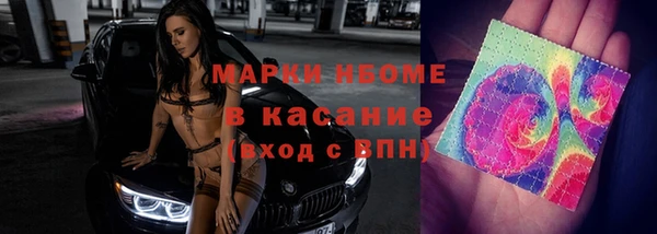 гашик Бородино