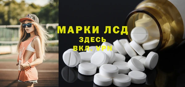 гашик Бородино
