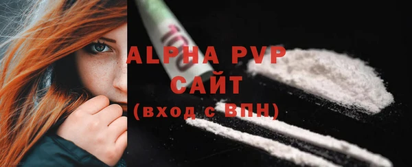 гашик Бородино