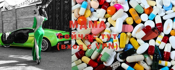 гашик Бородино