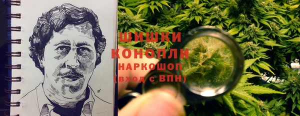 гашик Бородино