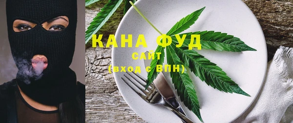 гашик Бородино