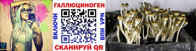 Купить  Шарья  Псилоцибиновые грибы мухоморы 